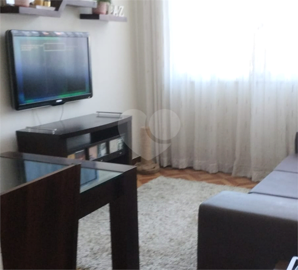 Foto REO1089804