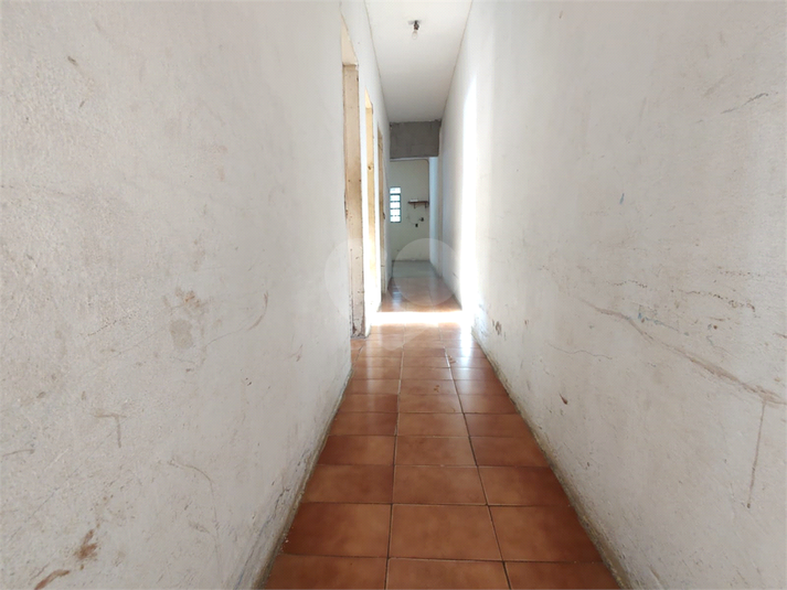 Foto REO1089813