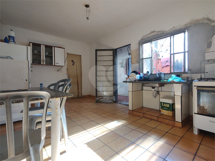 Foto REO1089813