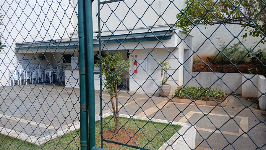 Foto REO1089819