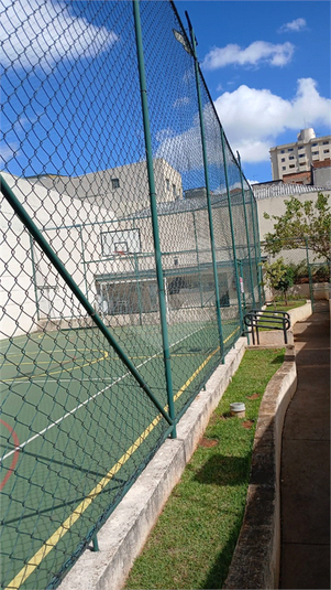 Foto REO1089819