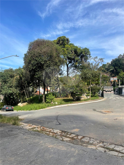 Foto REO1089823