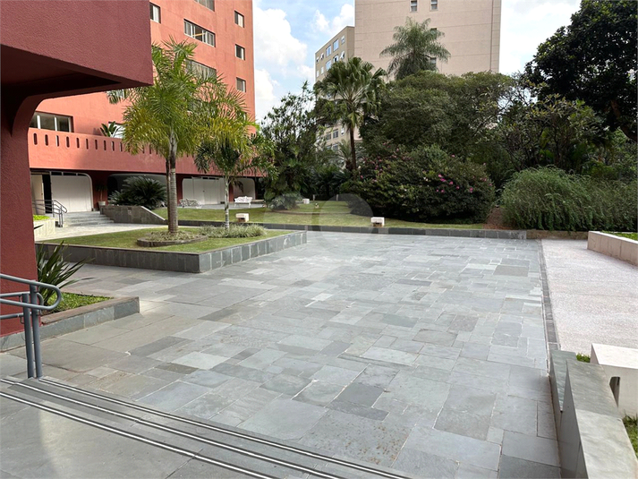 Foto REO1089825