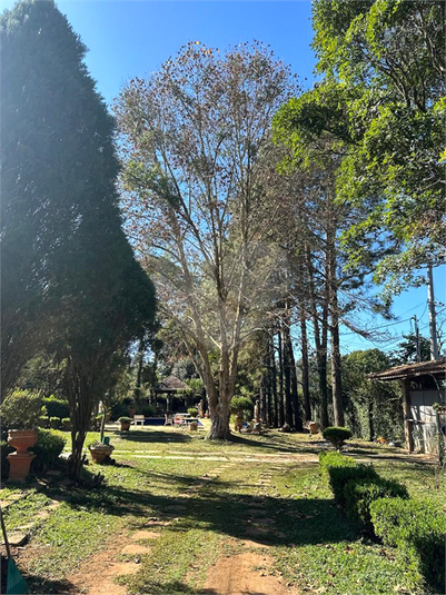Foto REO1089828