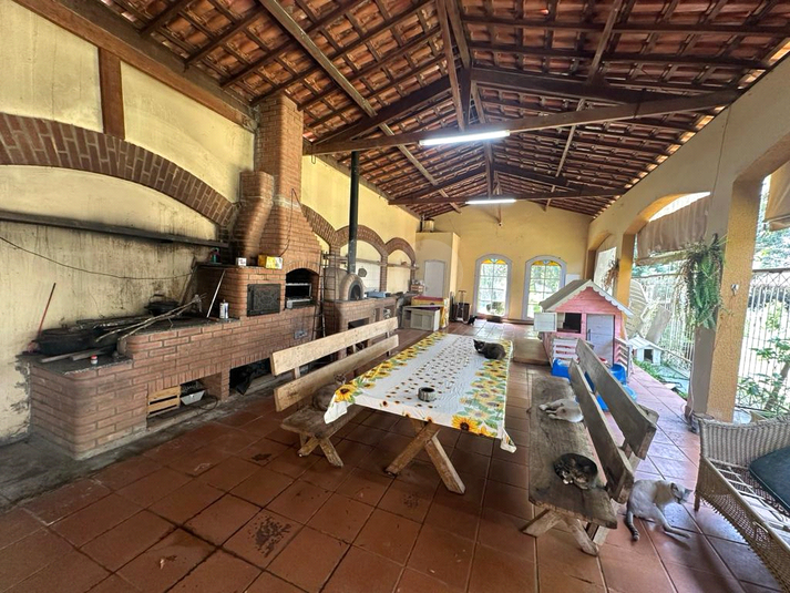 Foto REO1089828