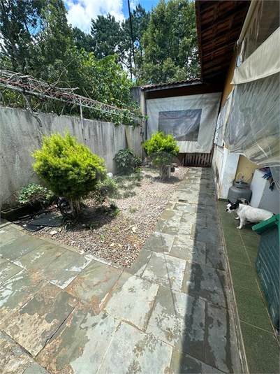 Foto REO1089828
