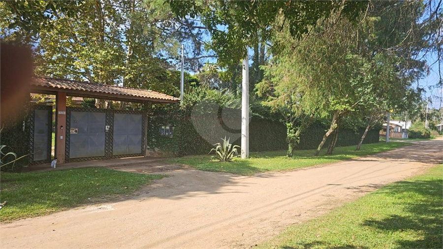 Foto REO1089828