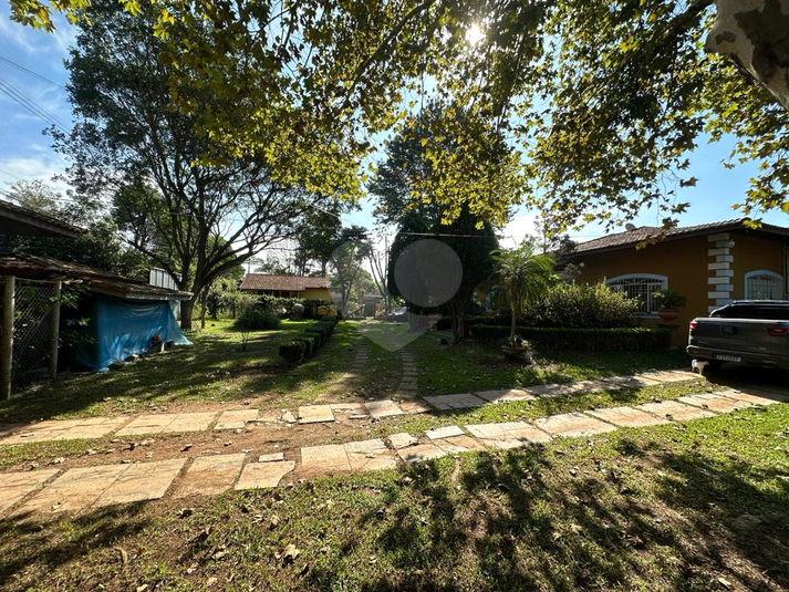 Foto REO1089828