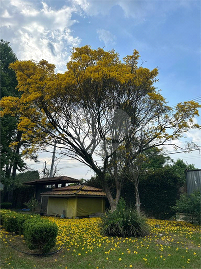 Foto REO1089828