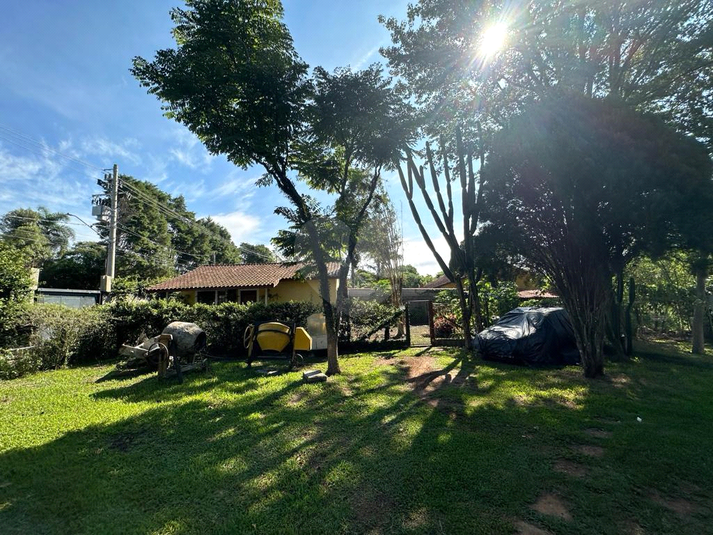 Foto REO1089828