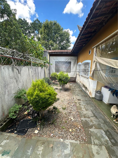 Foto REO1089828
