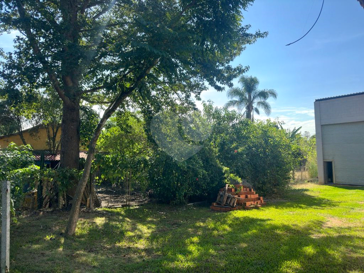 Foto REO1089828