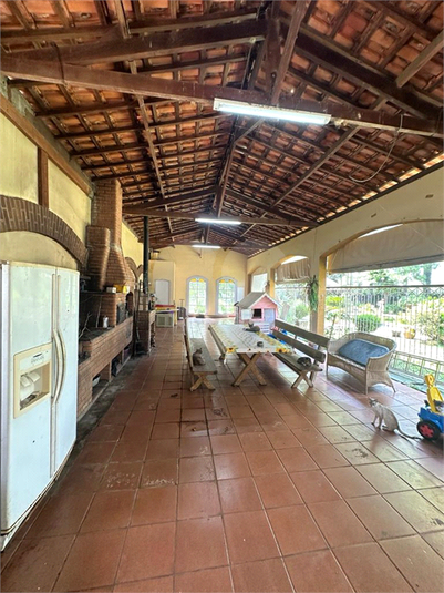 Foto REO1089828
