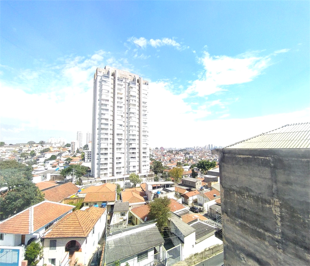 Foto REO1089838
