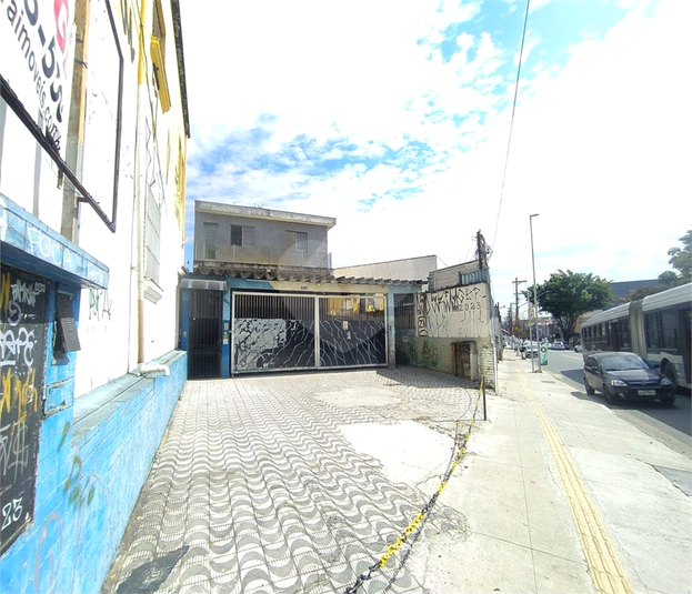 Foto REO1089838
