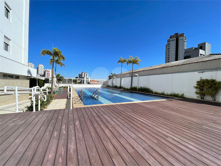 Foto REO1089842