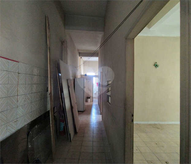 Foto REO1089845