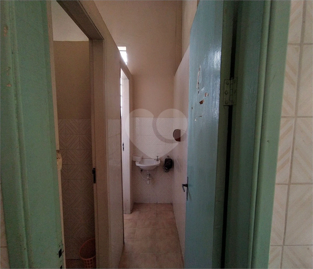 Foto REO1089845