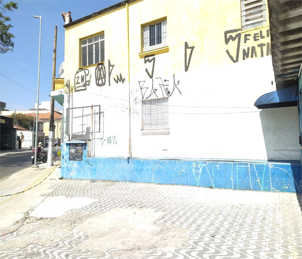 Foto REO1089845
