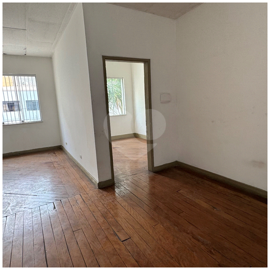 Foto REO1089850