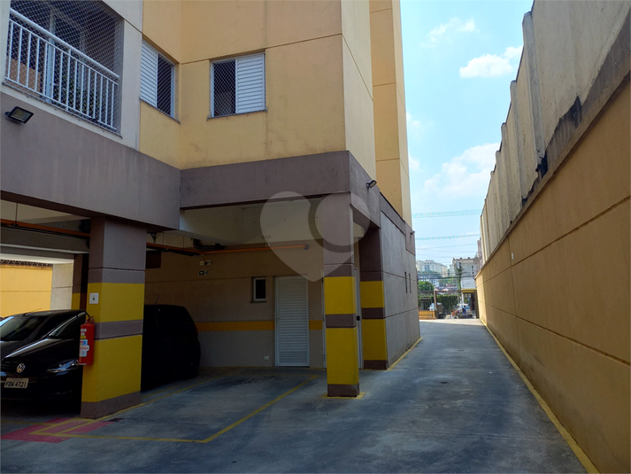 Foto REO1089851