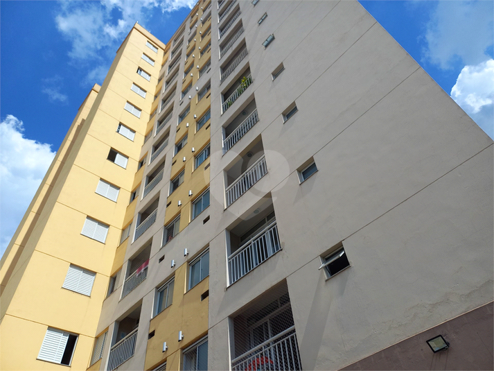 Foto REO1089851