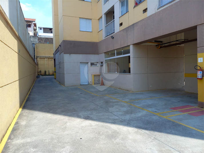 Foto REO1089851