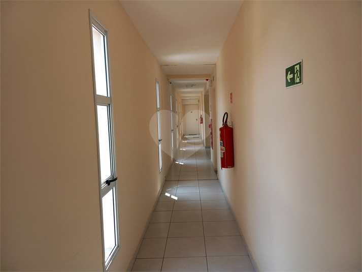 Foto REO1089851