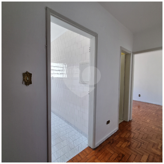 Foto REO1089852