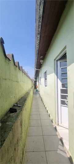 Foto REO1089862
