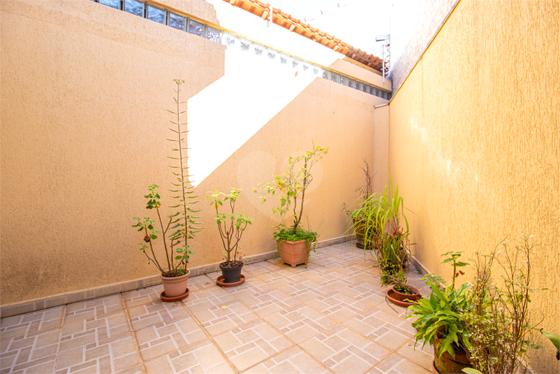 Foto REO1089864