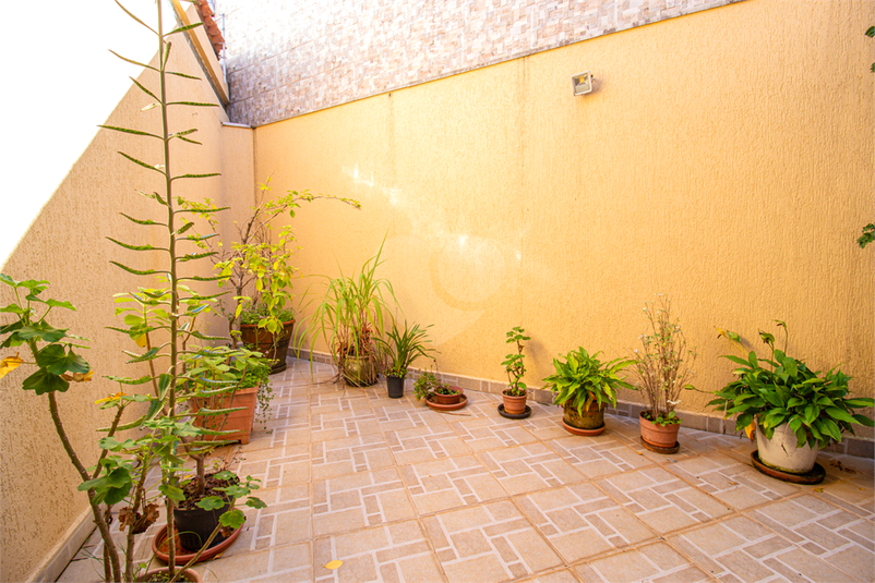 Foto REO1089864