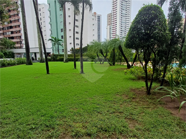 Foto REO1089887