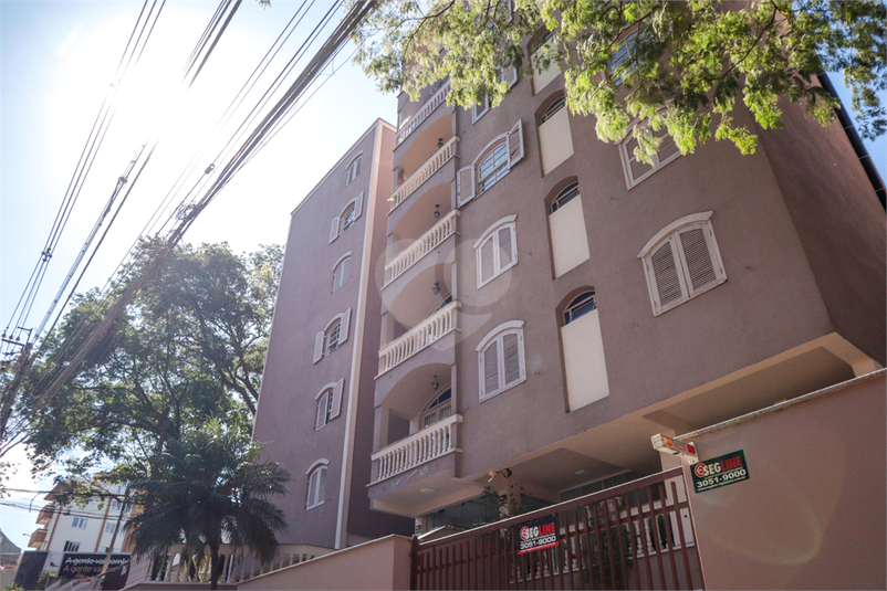 Foto REO1089903