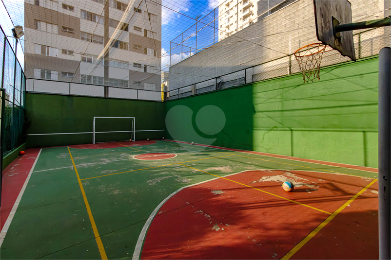 Foto REO1089907