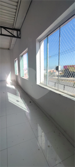 Foto REO1089914