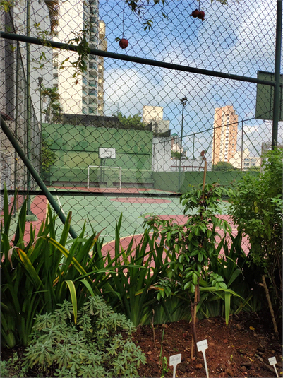 Foto REO1089929