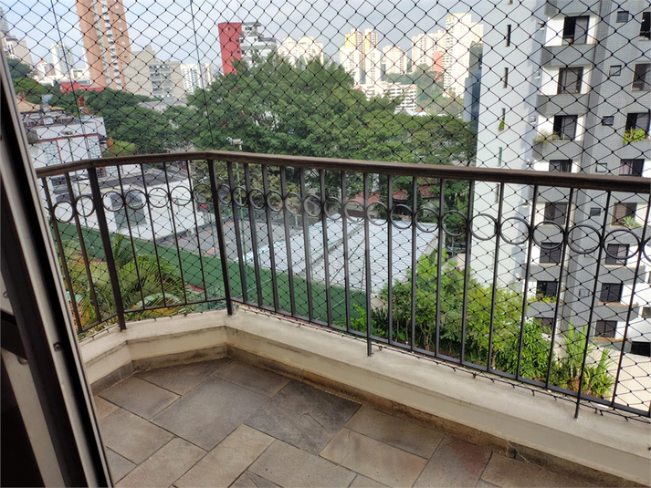 Foto REO1089929