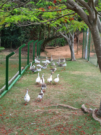 Foto REO1089931