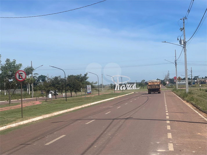 Foto REO1089936