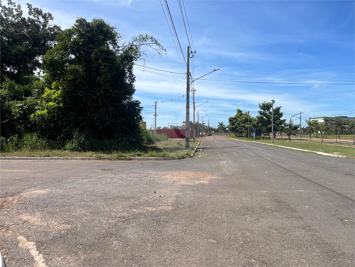 Foto REO1089936