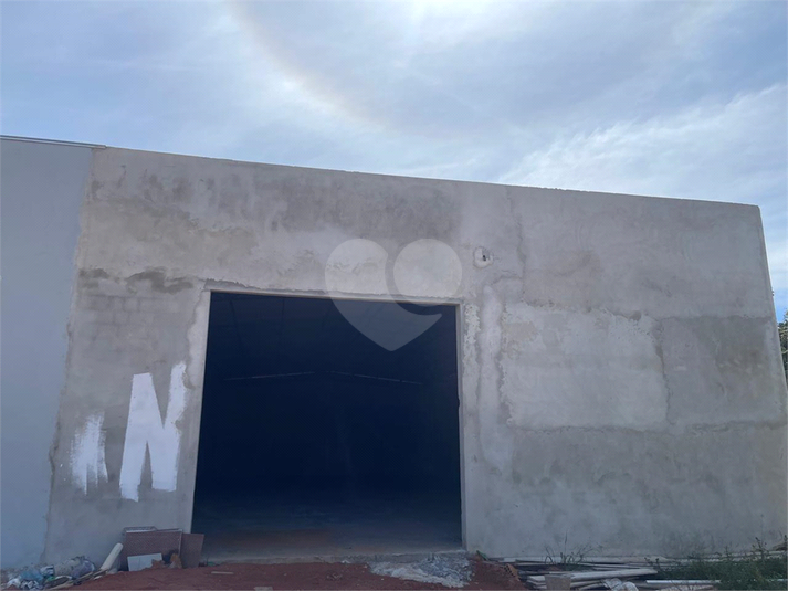 Foto REO1089936