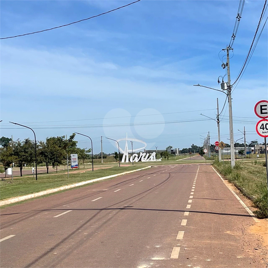 Foto REO1089936