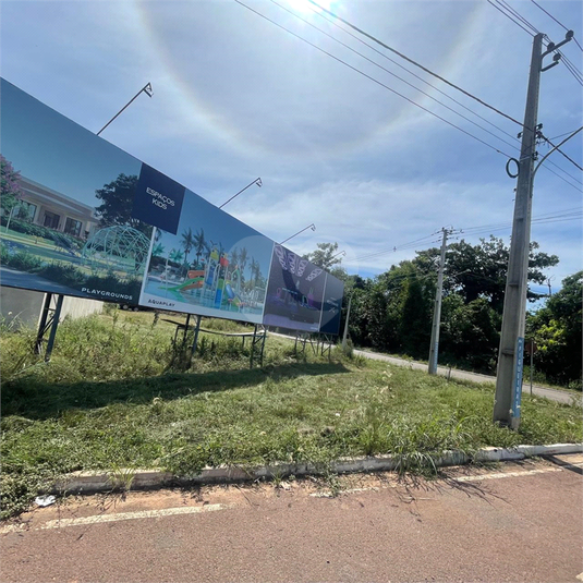 Foto REO1089936