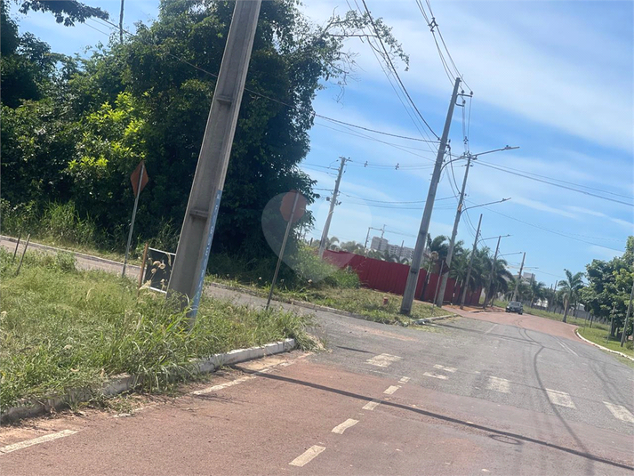 Foto REO1089936