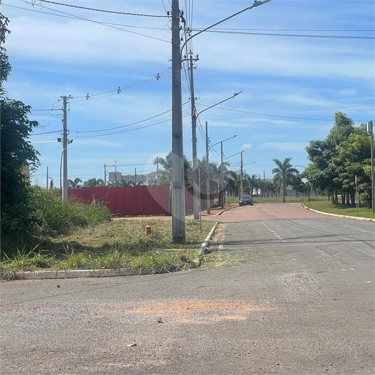 Foto REO1089936