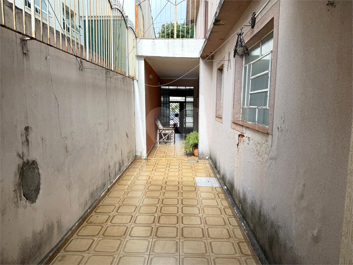 Foto REO1089941