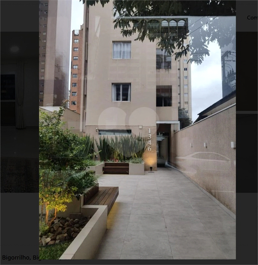 Foto REO1089945