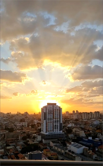Foto REO1089949