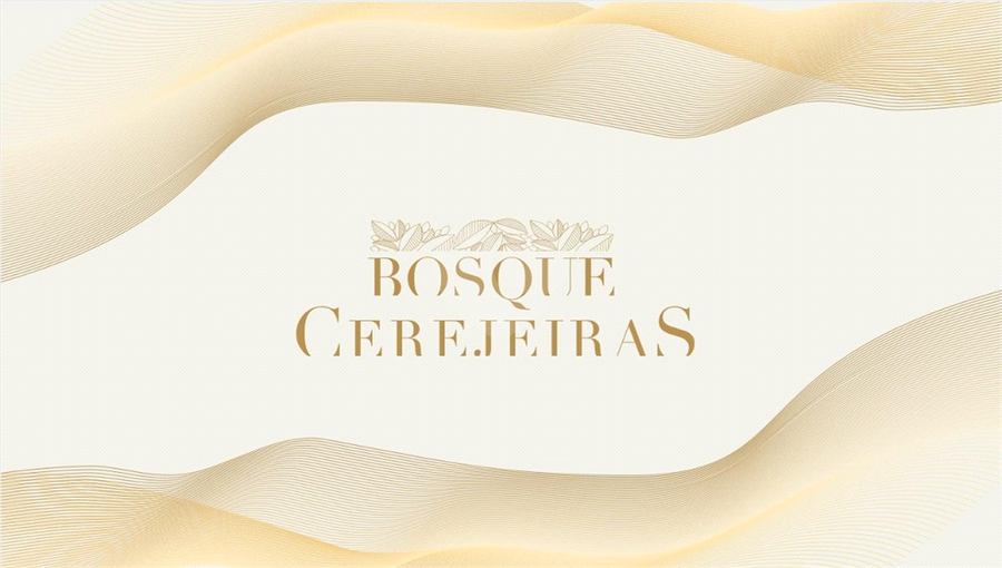 Foto REO1089953